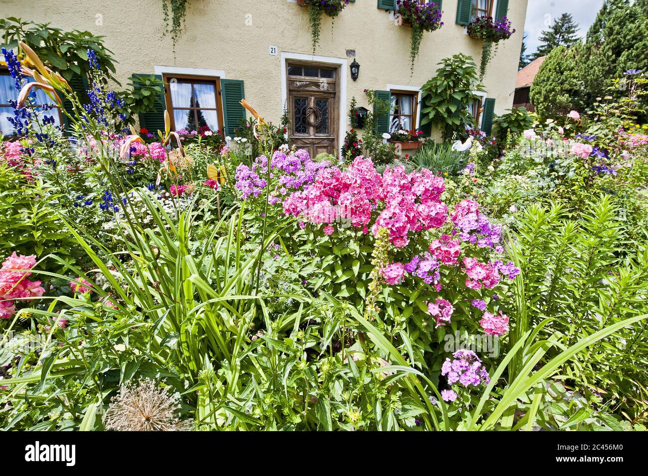 Flowers in a cottage garden, Aschering, Bavaria, Germany Stock Photo ...