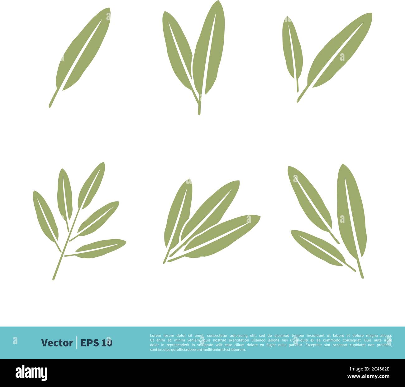 Sage Leaves Icon Vector Logo Template Illustration Design. Vector EPS 10 Stock Vector Image