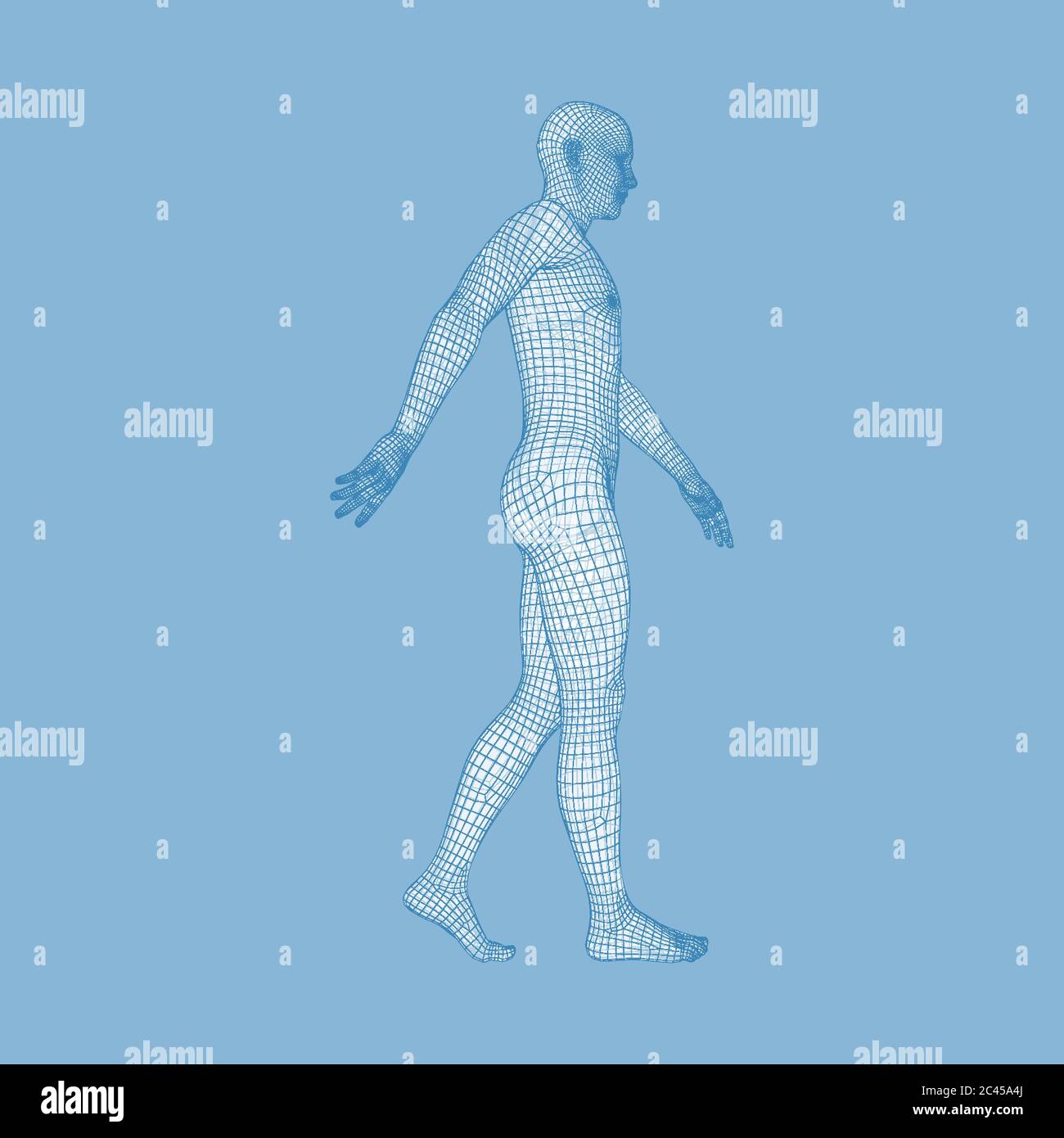 Walking Man. 3D Human Body Model. Geometric Design. Human Body Wire Model.  Vector Illustration. Stock Vector