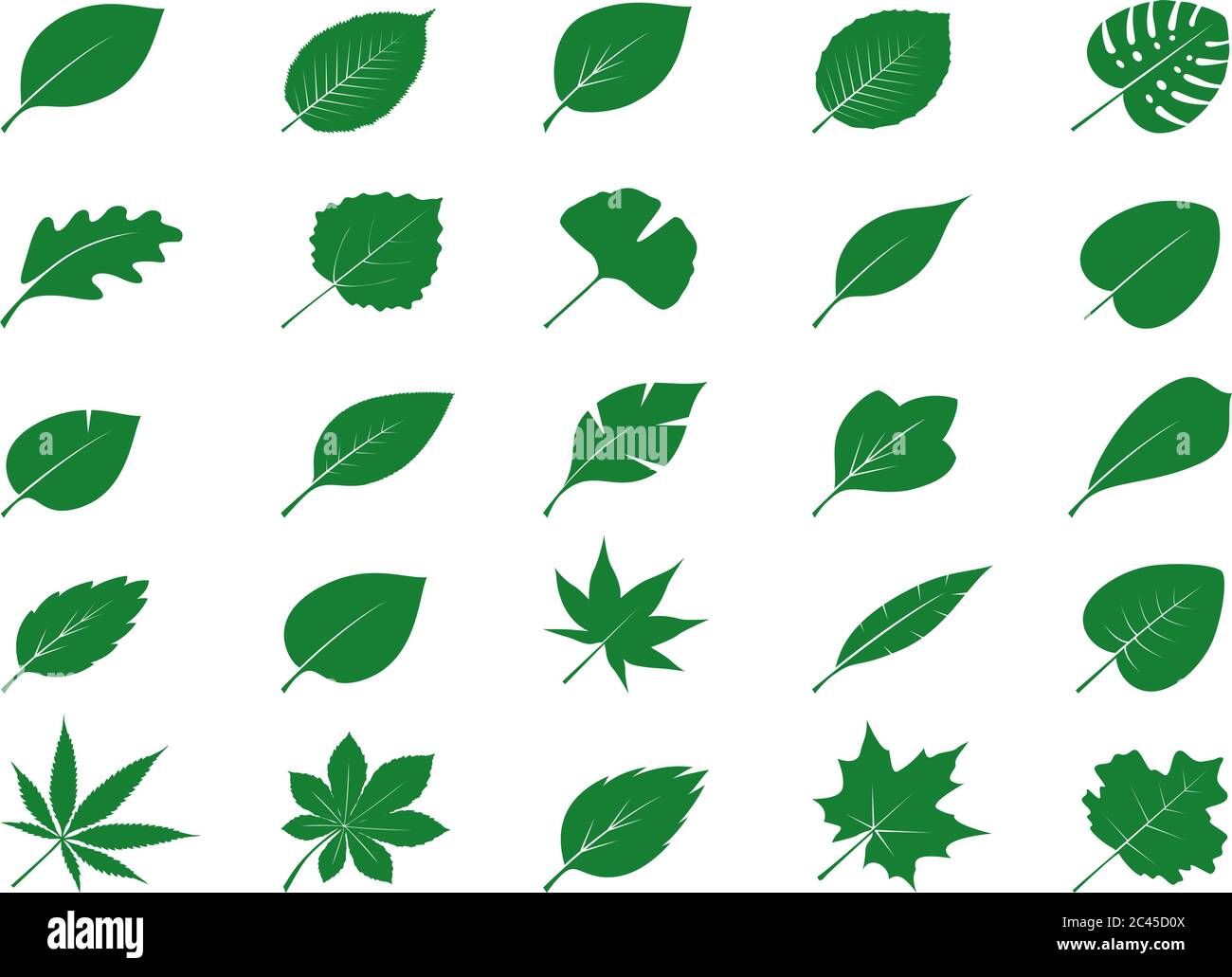 Collection of Green Leaves. Vector Illustration. Nature and plant elements. Stock Vector