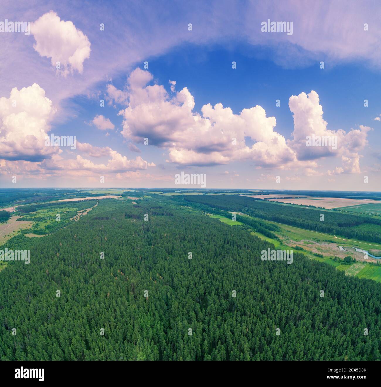Rural landscape with beautiful sky, aerial view. Skyview of countryside. View of plowed and green fields and pine forest in spring. Stock Photo