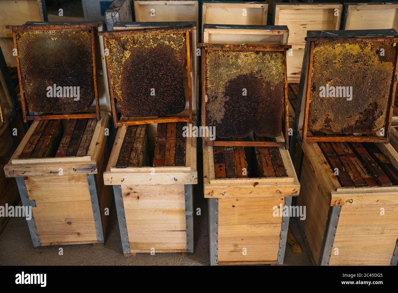 Close up of a Wooden beehive and bees. Beekeeping concept. Stock Photo