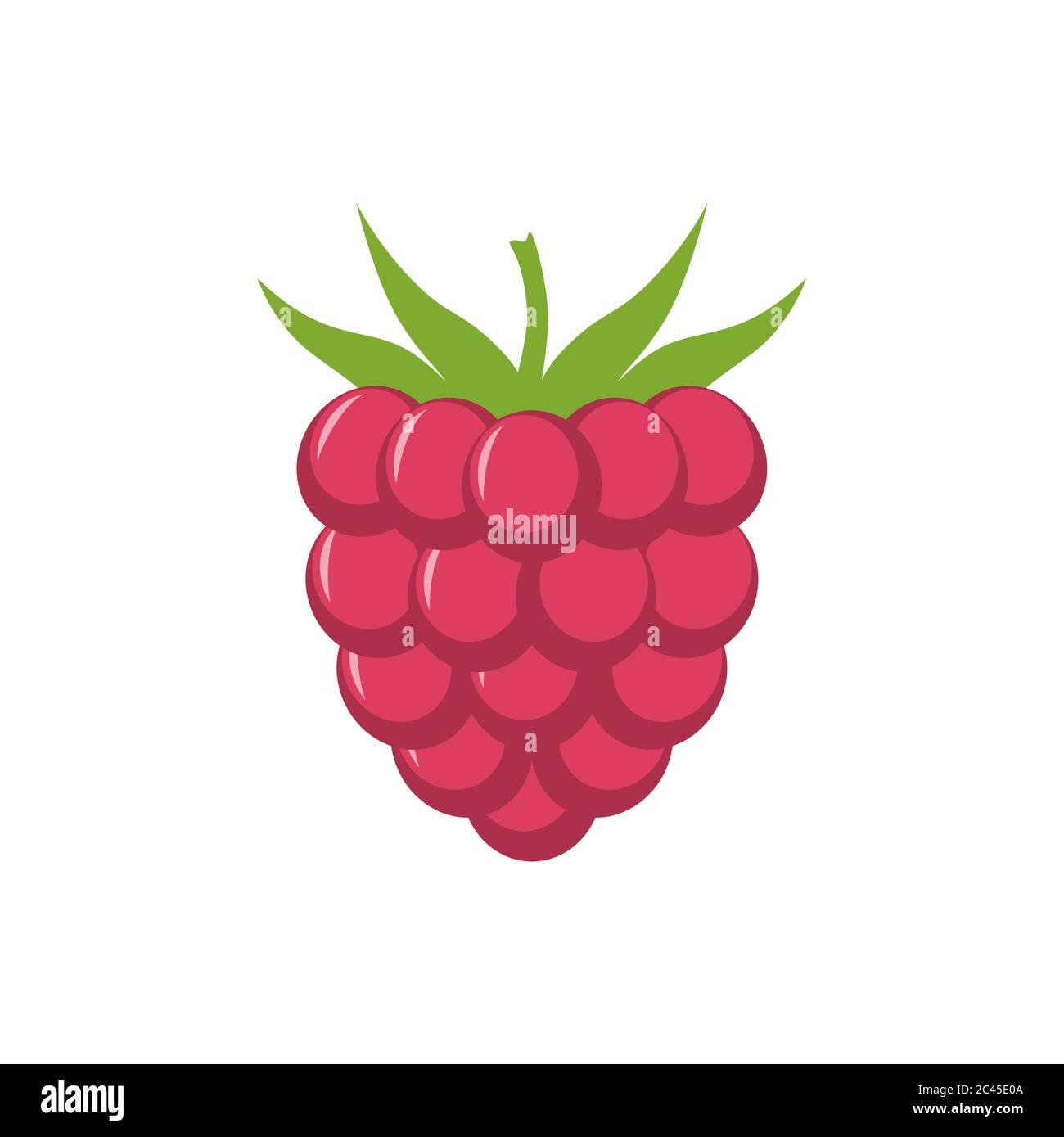 Cartoon Raspberry
