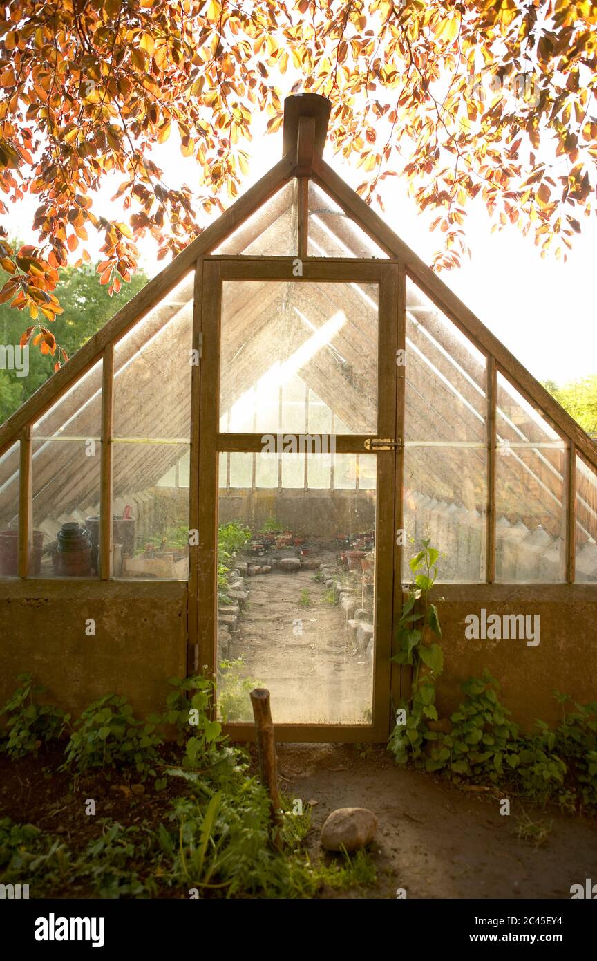 Greenhouse in the spring Stock Photo - Alamy