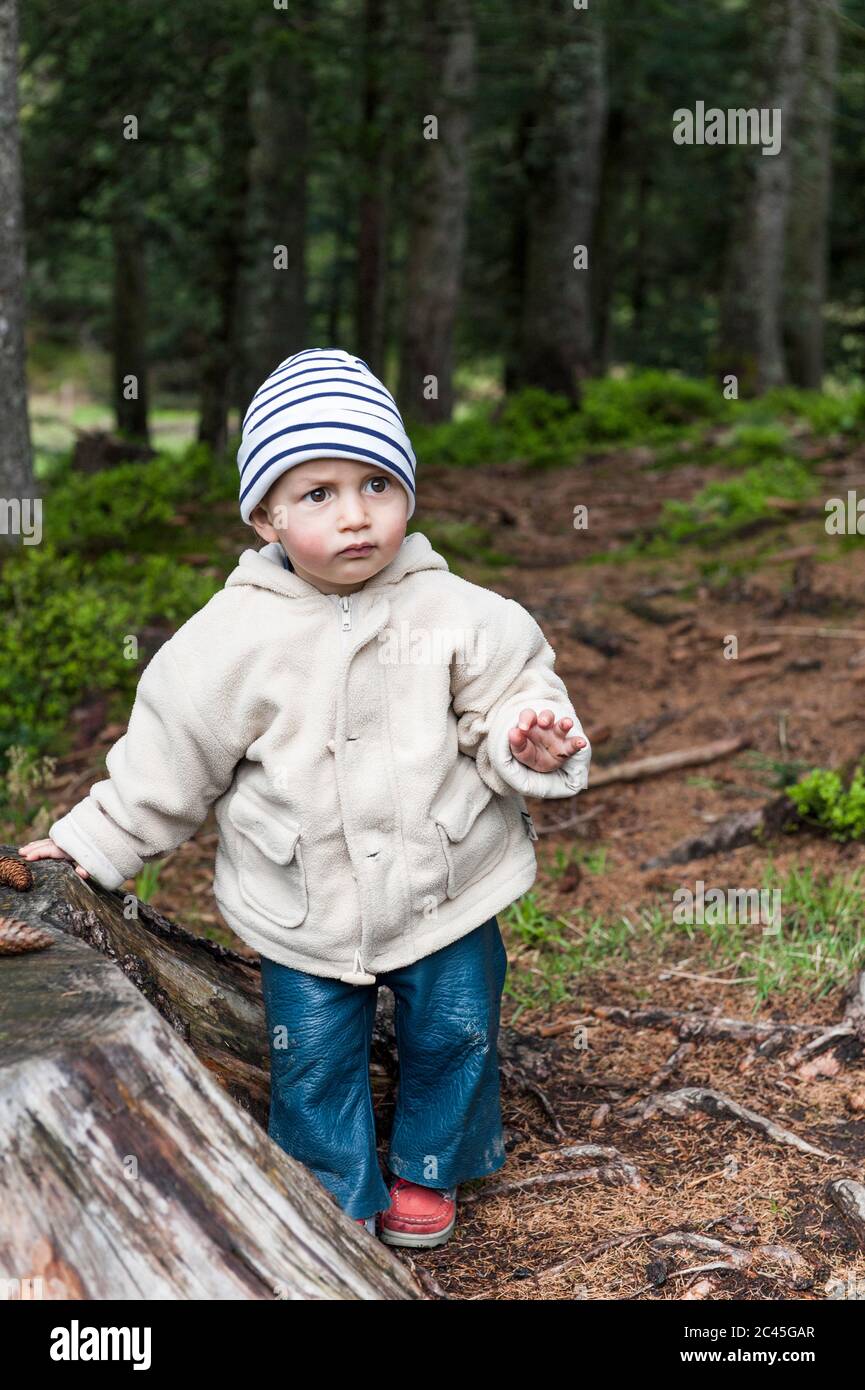 Toddler in the forest Stock Photo Alamy