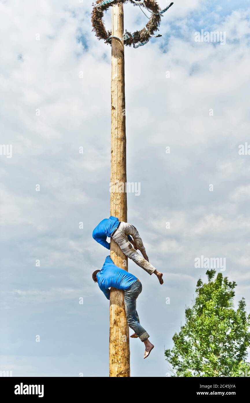 Maypole Climbing Traditional maypole climbing, Rottenstuben, Bavaria, Germany Stock ...