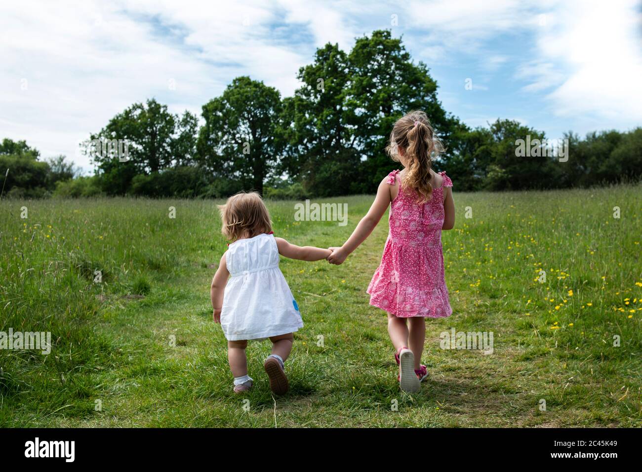 Rear view of two young girls walking hand in hand across a meadow. Stock Photo