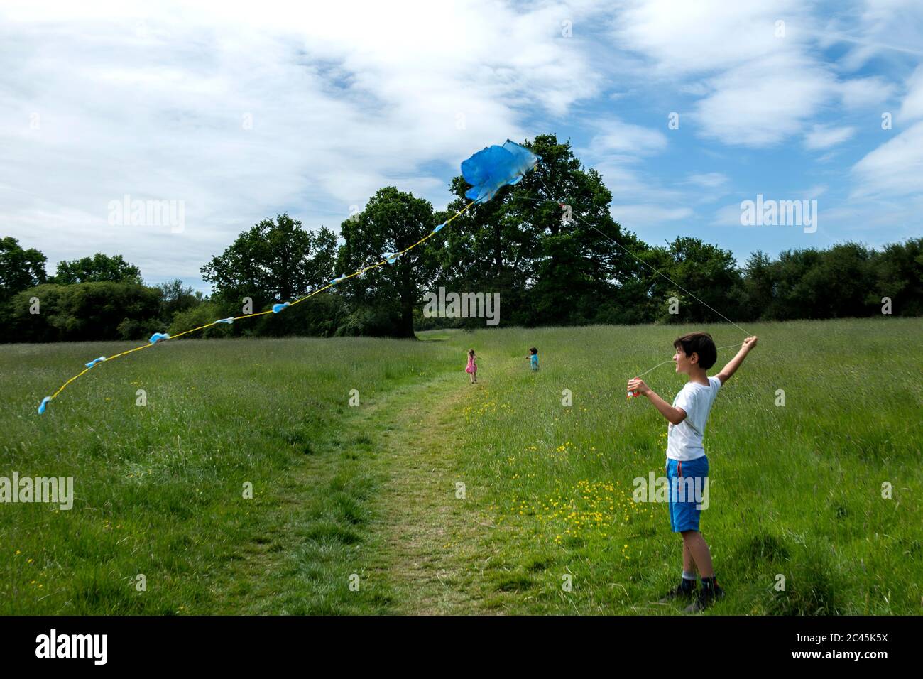 Young boy standing on a meadow, flying blue kite. Stock Photo