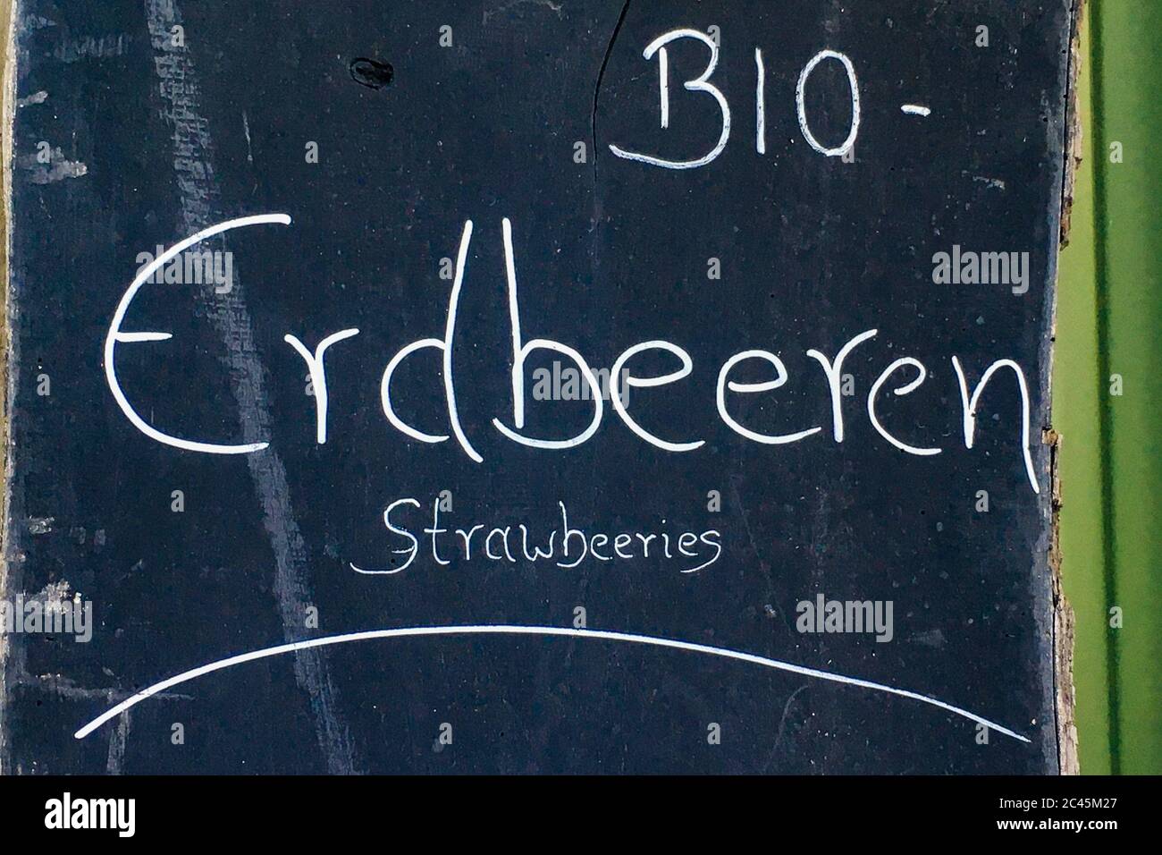 A sign with the inscription "Bio Erdbeeren" stands on a strawberry field Stock Photo