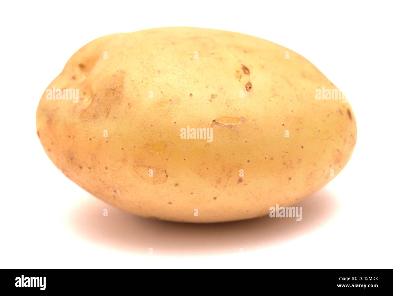 Large clean potato isolated on white Stock Photo