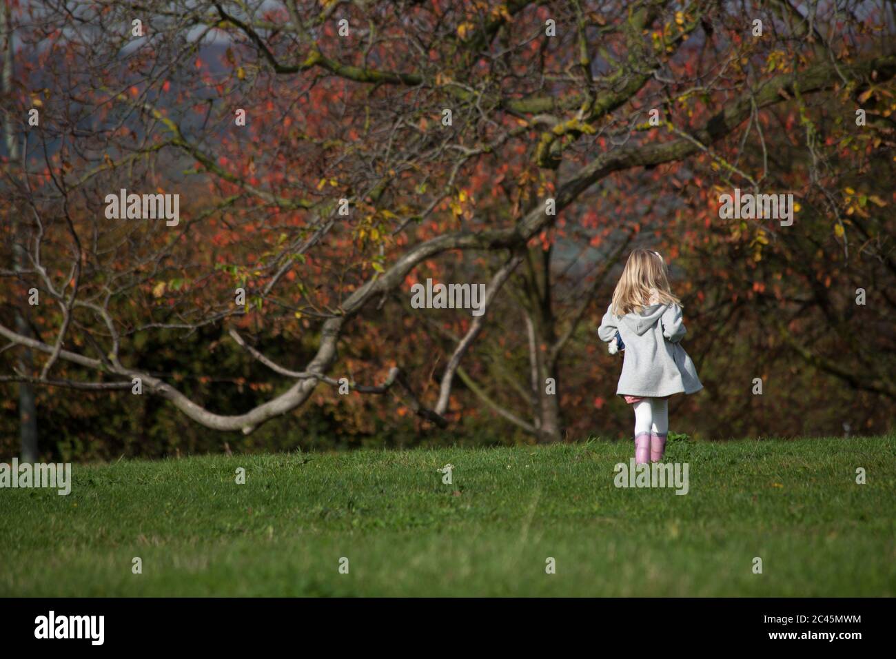 Child blond girl meadow hi-res stock photography and images - Alamy
