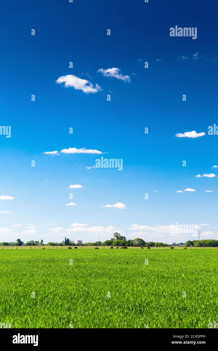 Rural background hi-res stock photography and images - Alamy