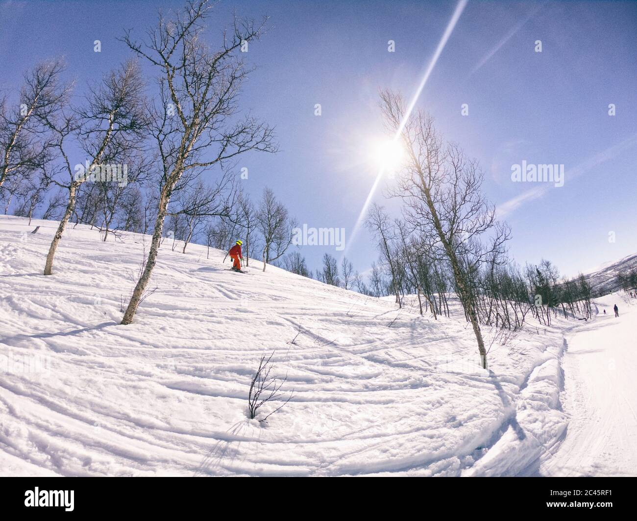 Wide  angle view of cross-country skiers in Vasterbottens Lan, Sweden. Stock Photo