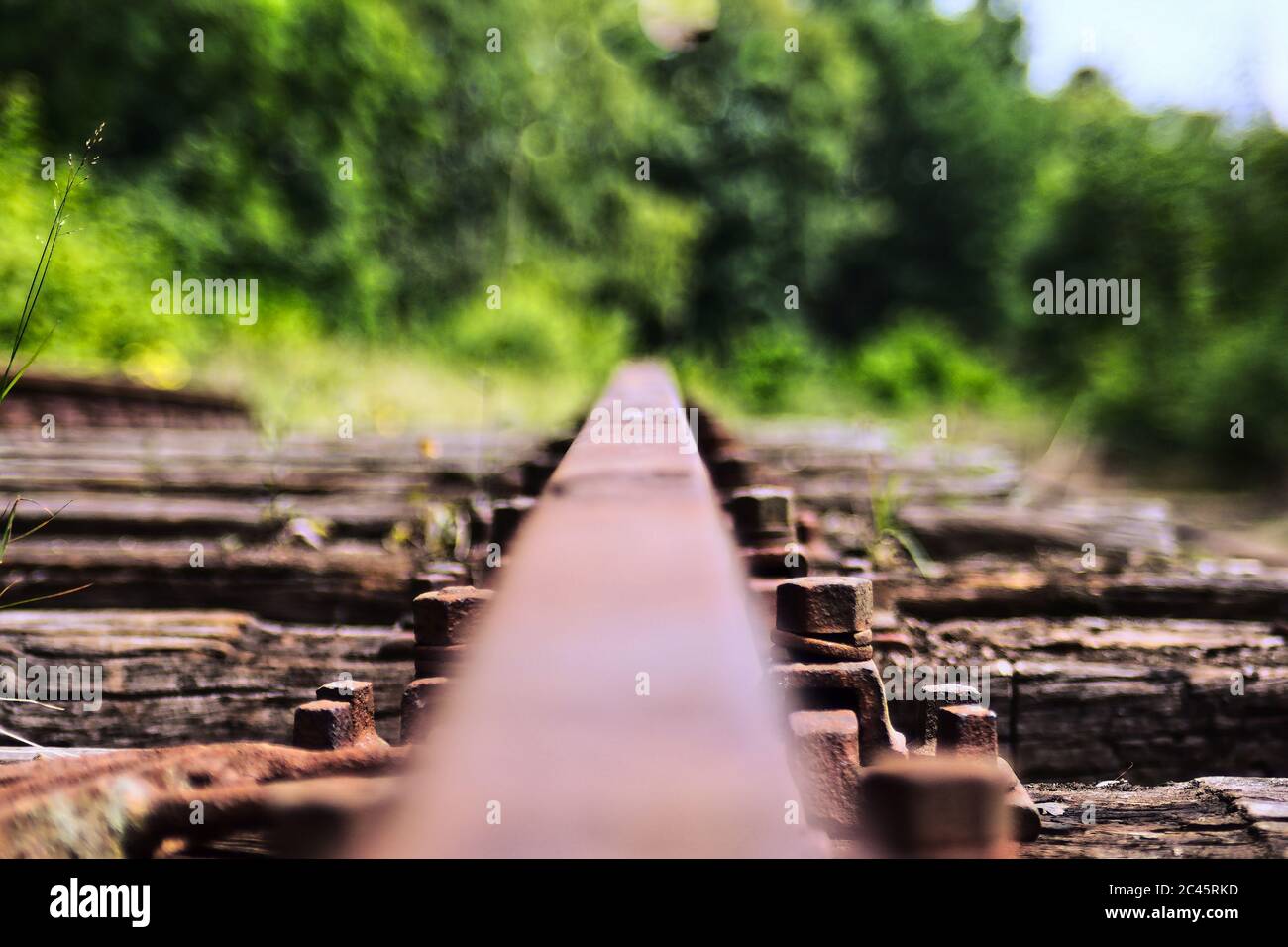 Wooden rail of rail with rail and screws Stock Photo