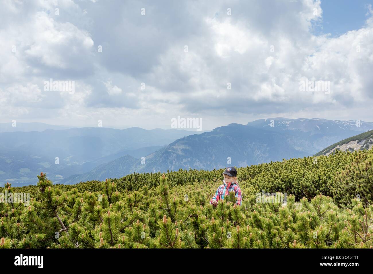 Young girl enjoying smell of pine trees in mountain scenery on Schneeberg in Lower Austria Stock Photo