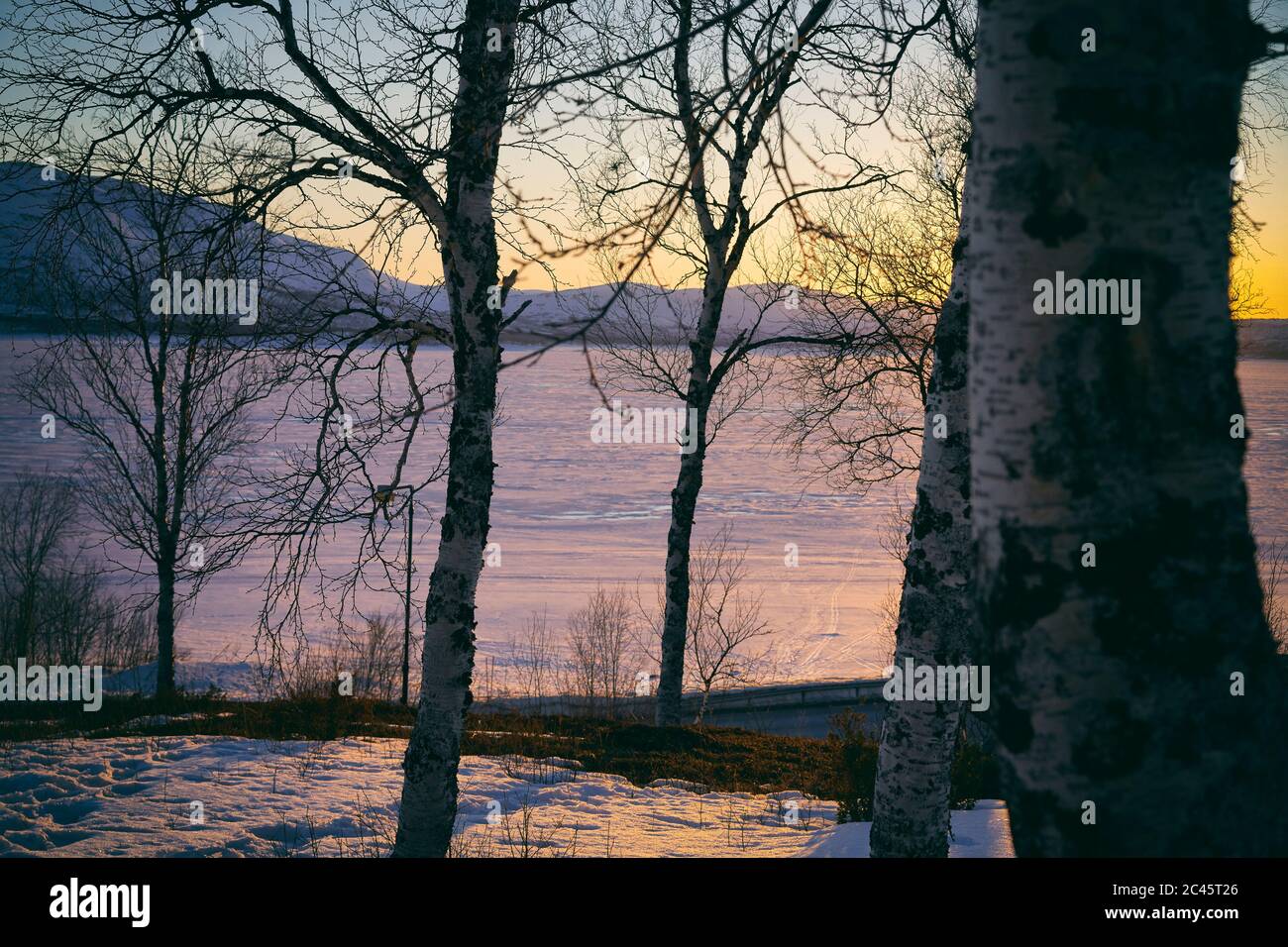View past trees across frozen lake at sunset, Vasterbottens Lan, Sweden. Stock Photo