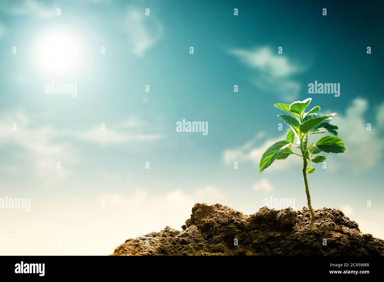 Sustainability and global warming Concept Stock Photo