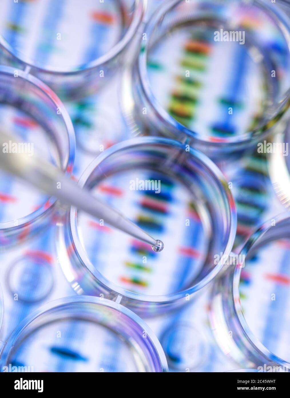 Scientist pipetting a sample for testing with a background of a