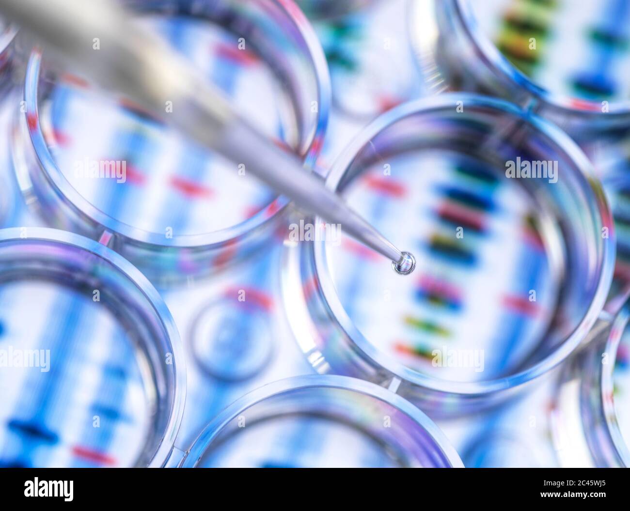 Scientist pipetting a sample for genetic testing with a background of a DNA sequence Stock Photo