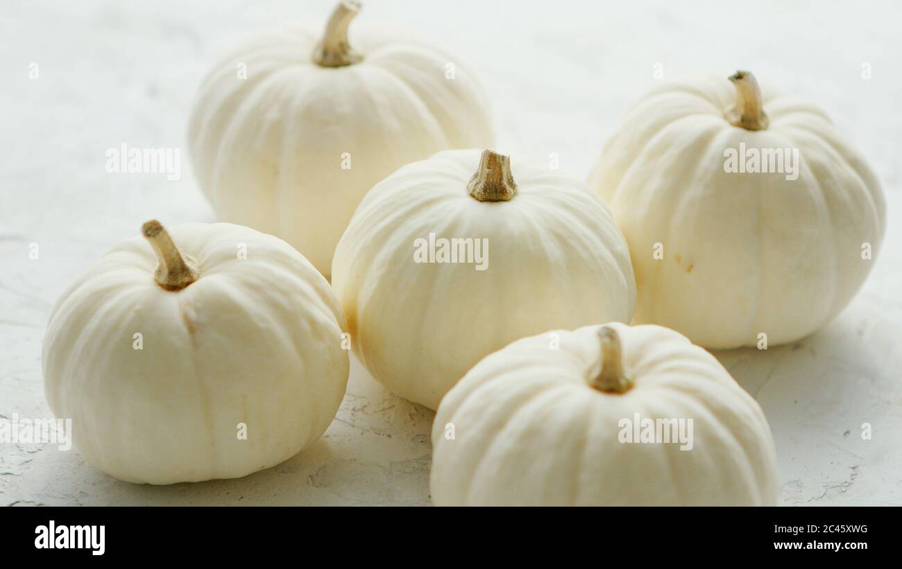 White small pumpkins Stock Photo - Alamy