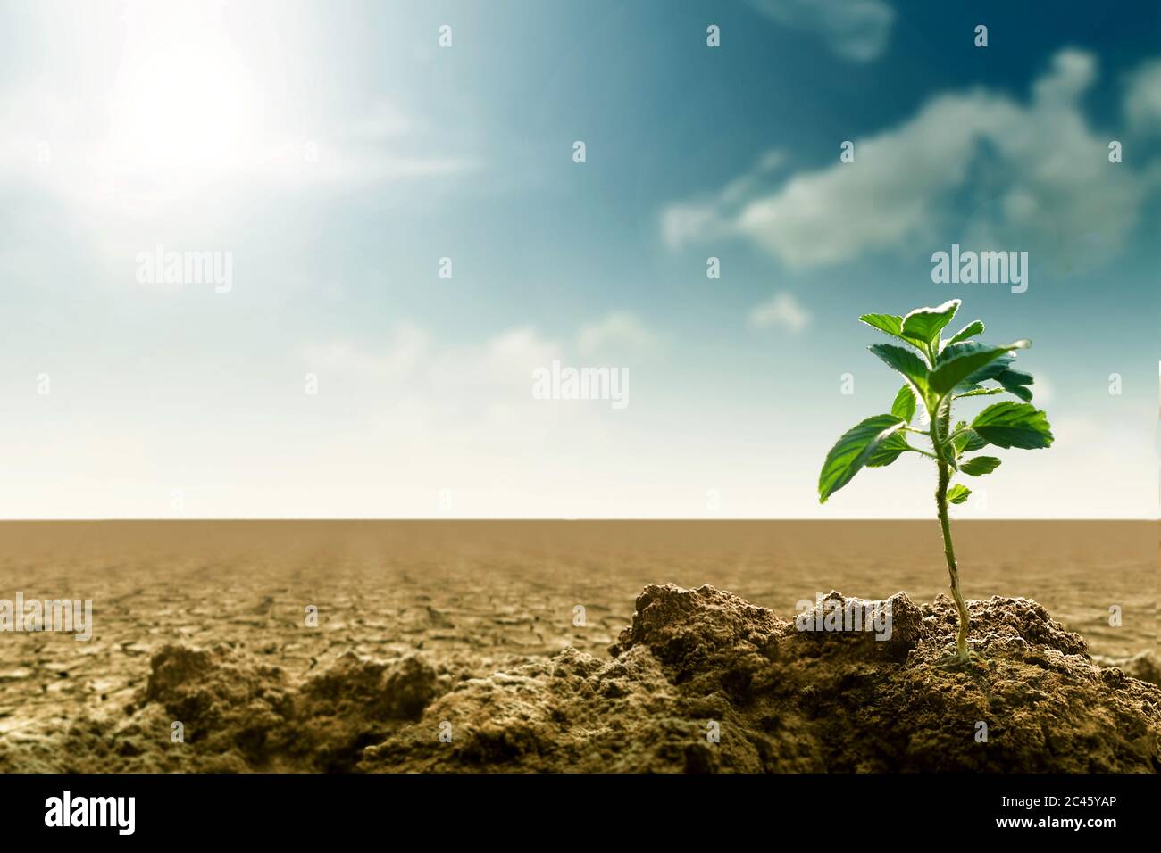 Sustainability and global warming Concept Stock Photo