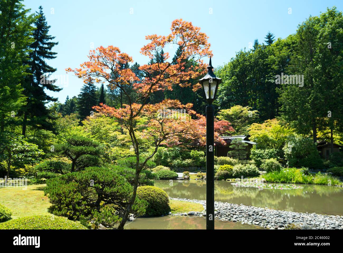 Japanese Garden at Washington Park Arboretum, Seattle, Washington State