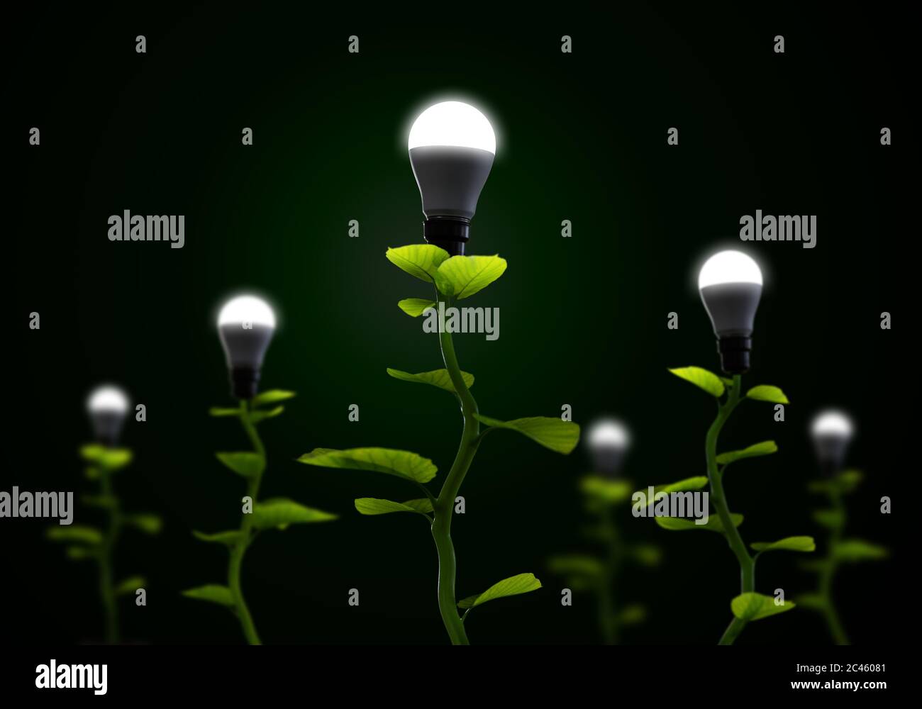New Green renewable and Sustainable Energy Concept Stock Photo