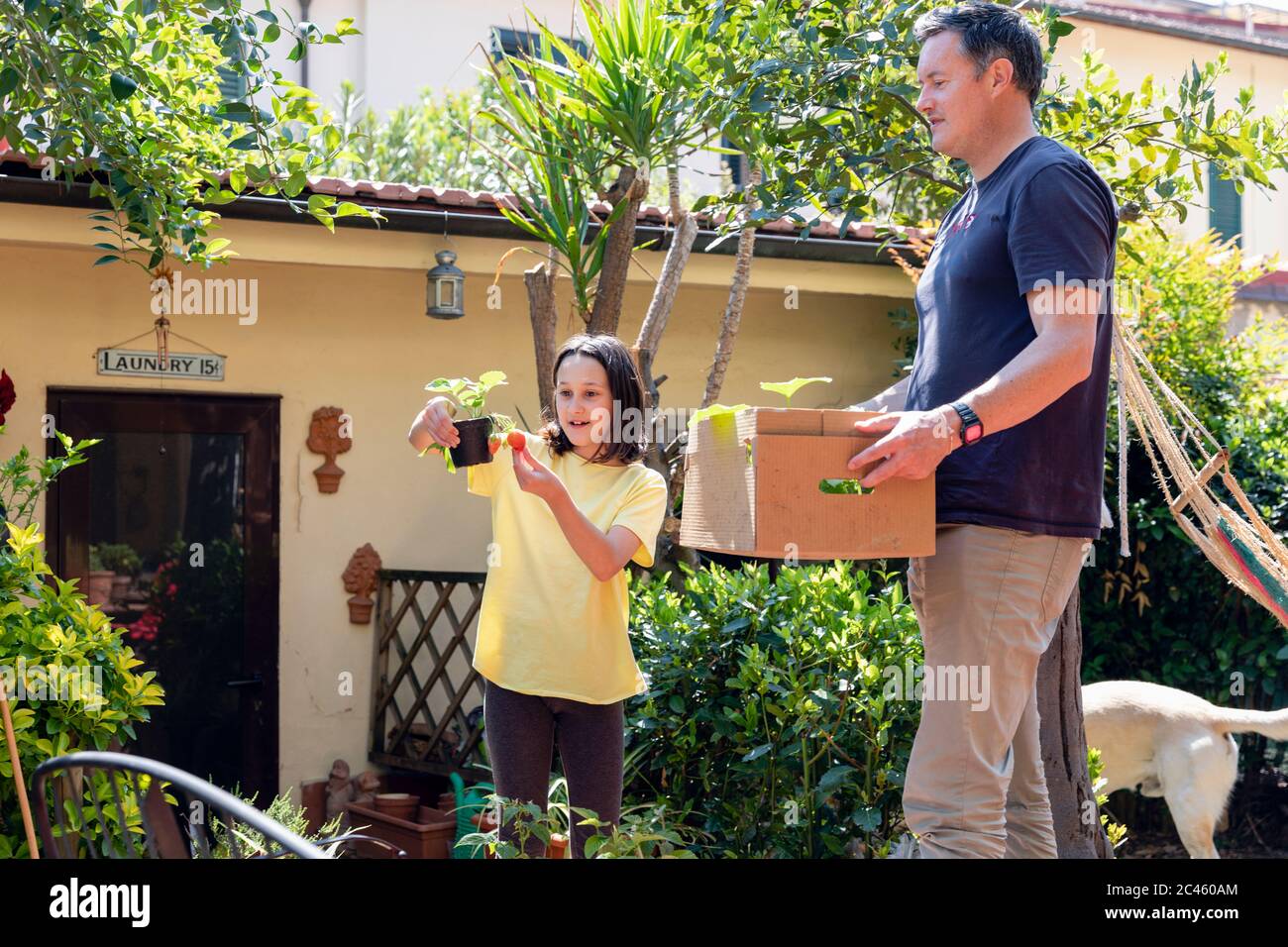 Family gardening, planting vegetables in a small roof garden during