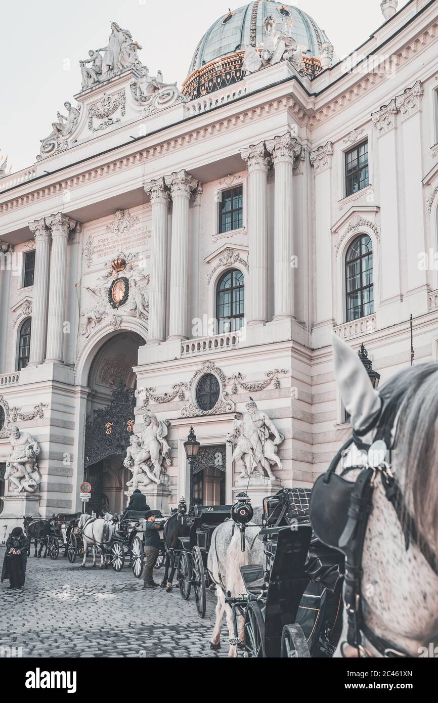 Vienna Fiaker, horse drawn carriage in front of Imperial Palace - Hofburg Stock Photo