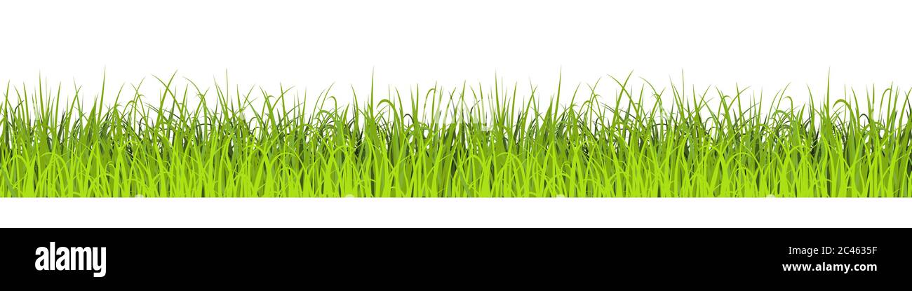Green Grass Seamless Background. Vector illustration. Lawn border Stock Vector