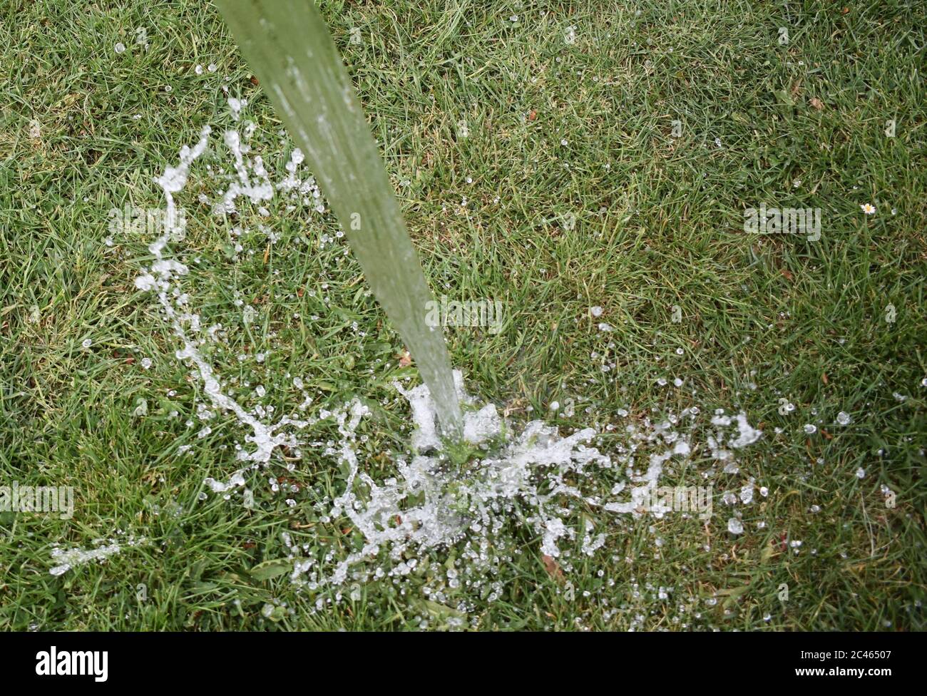 Green grass ground close up hi-res stock photography and images - Alamy