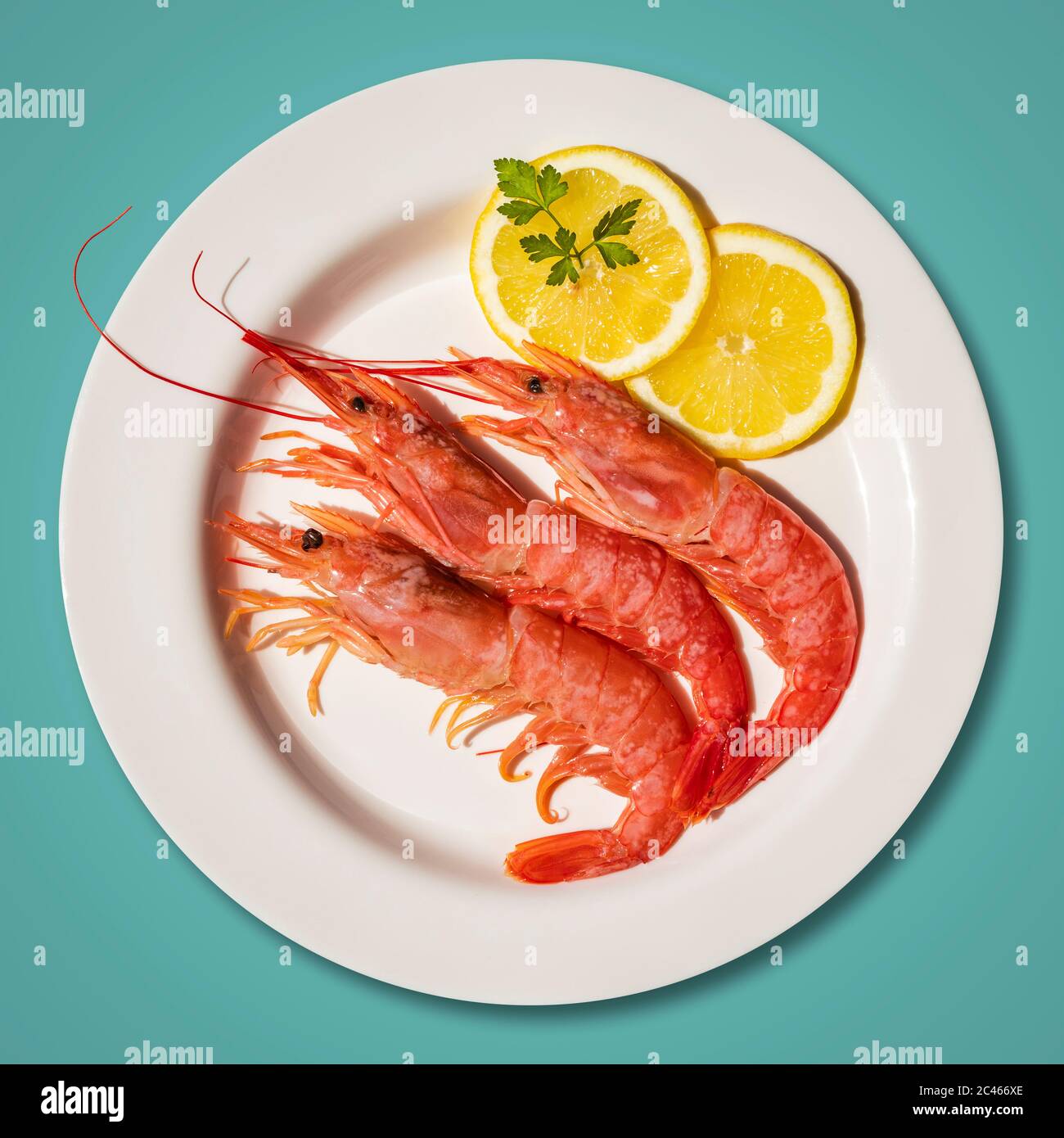 Macro close-up of a plate with three large red prawns, raw, fresh. Dish garnished with two round slices of lemon and parsley leaf. Isolated on blue ba Stock Photo
