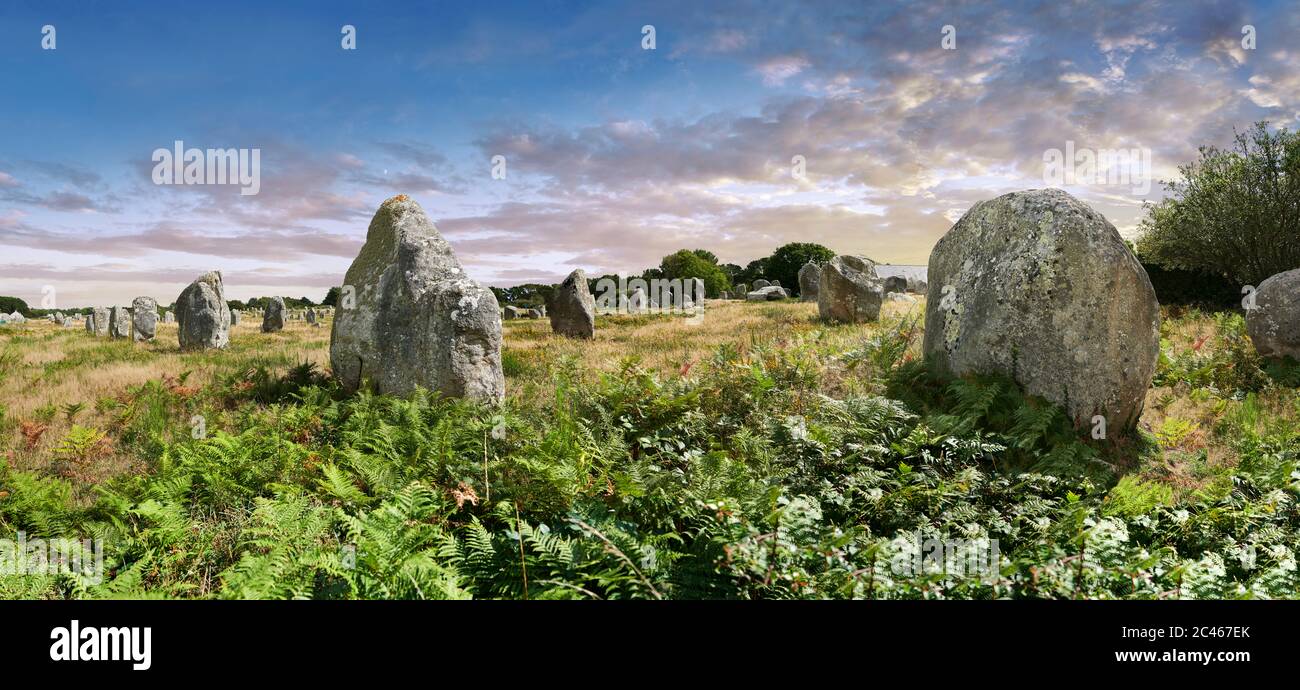 View of Carnac neolthic standing stones monaliths, a pre-Celtic site of standing stones used from 4500 to 2000 BC, Stock Photo