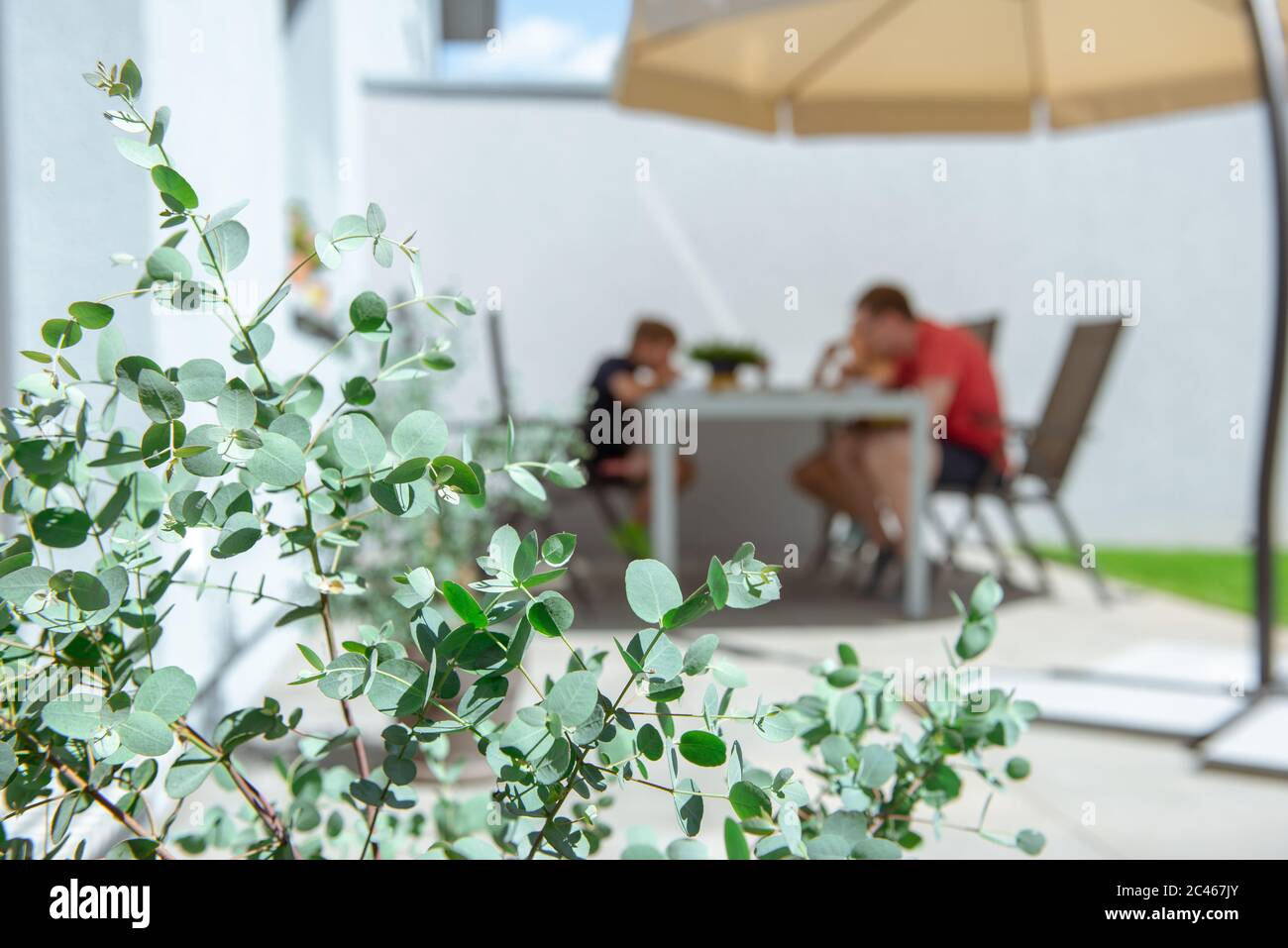 Father and his adorable happy daughter sitting and playing at table with tablet on terrace under the sun shade with eucalyptus bush on foreground Stock Photo