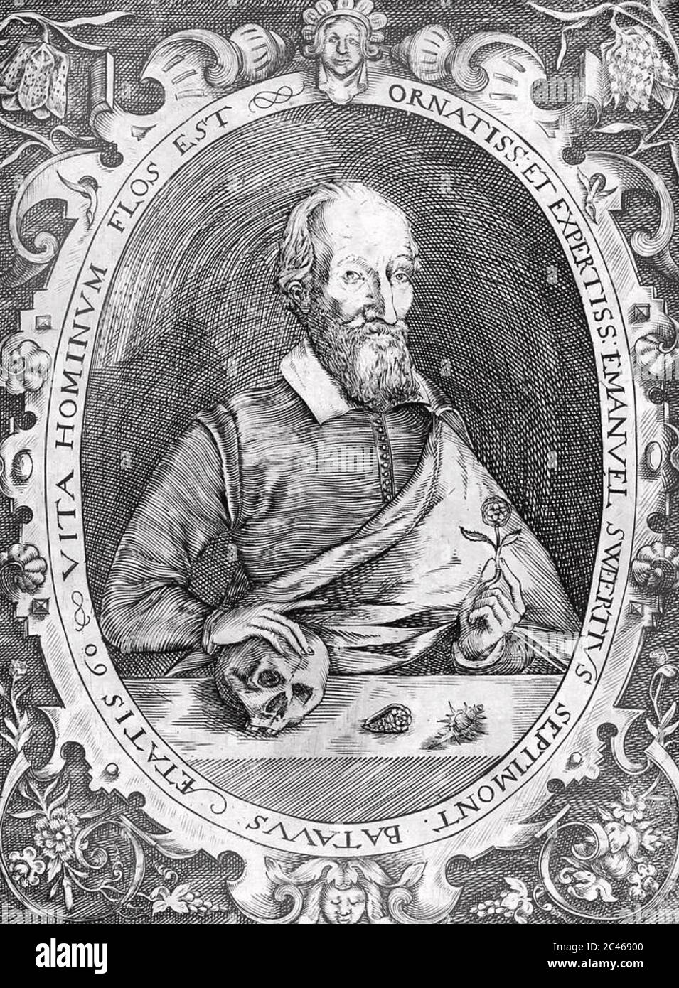 EMANUEL SWEERT (15521612) Dutch painter and nurseryman Stock Photo Alamy