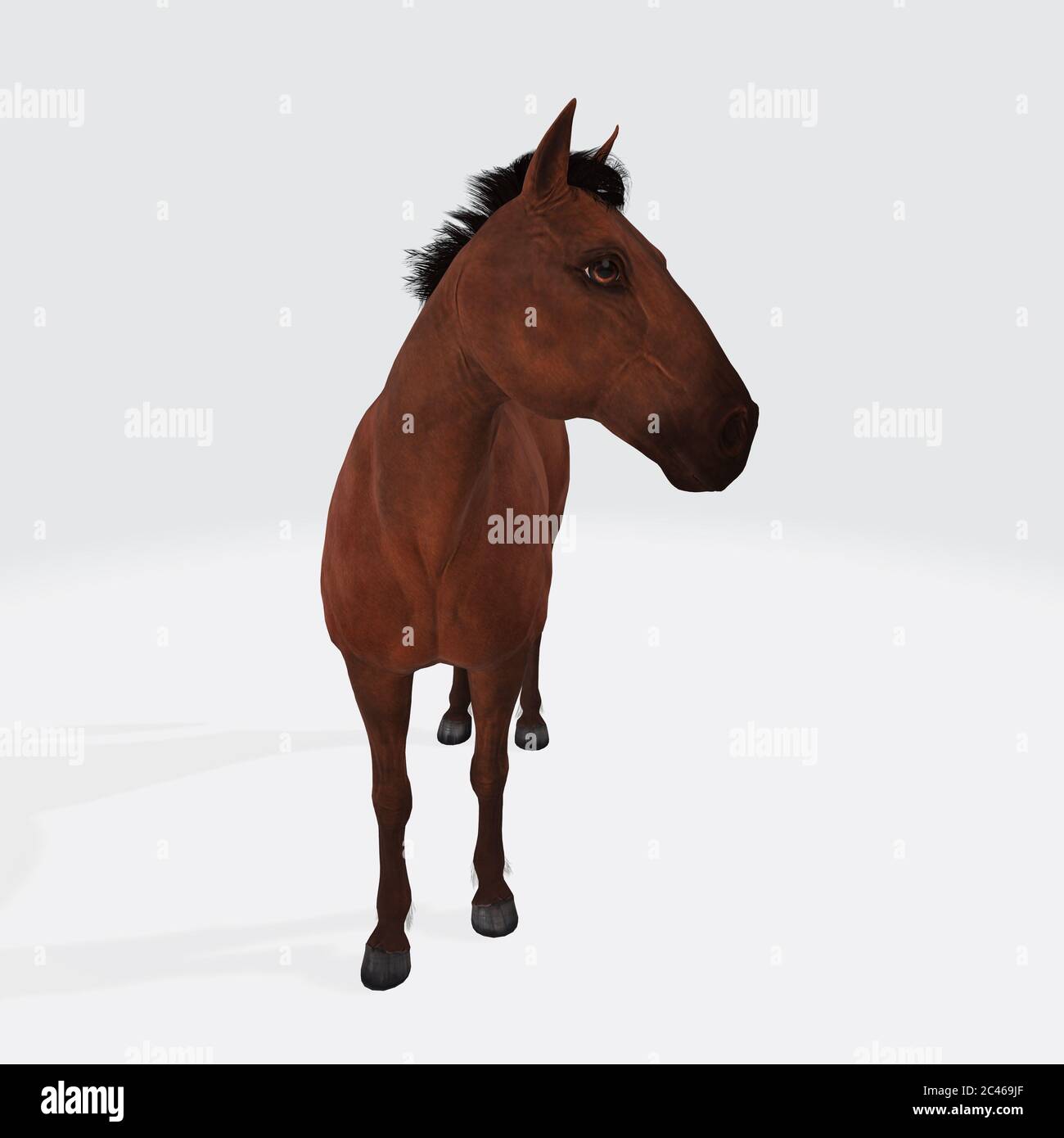 3D rendering of a cartoon brown horse with black and white tale Stock Photo - Alamy 3D rendering of a cartoon brown horse with black and white tale Stock Photo - Alamy