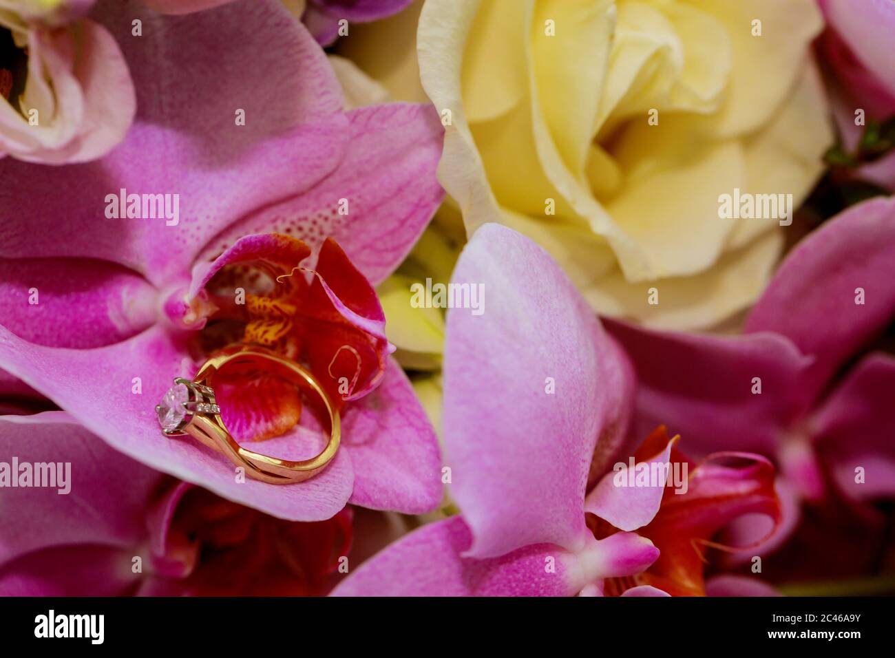 Violet irises and rose with ring. Close up. Stock Photo