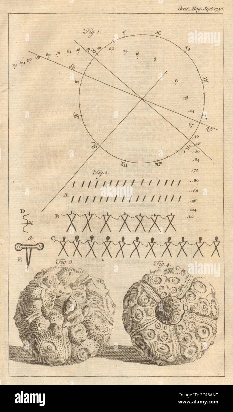 1757 Halley's Comet forecast track American Indian warrior kills Sea urchin 1756 Stock Photo