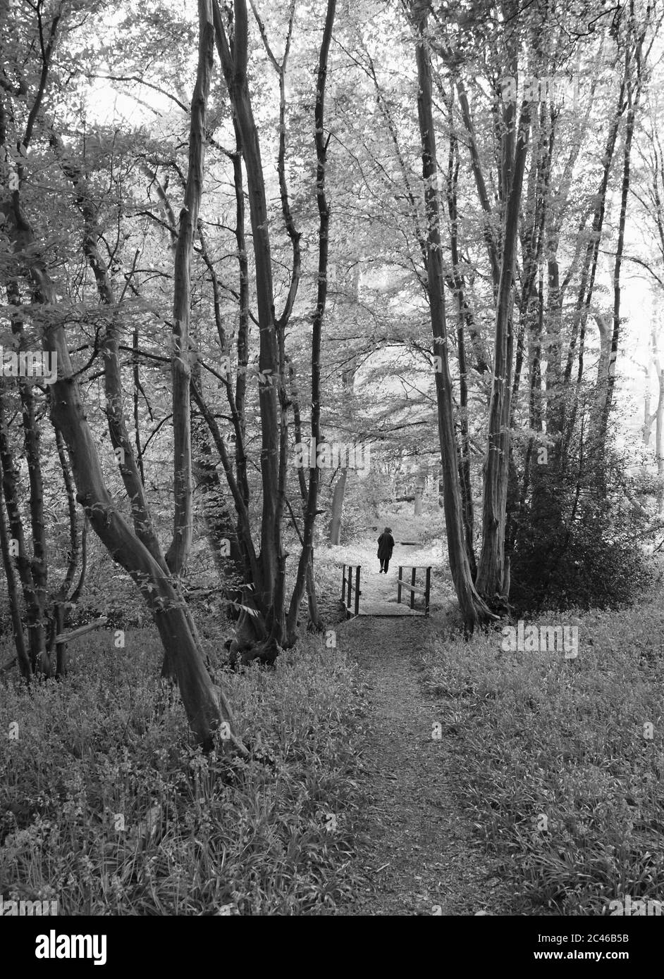 Alone person Black and White Stock Photos & Images - Alamy