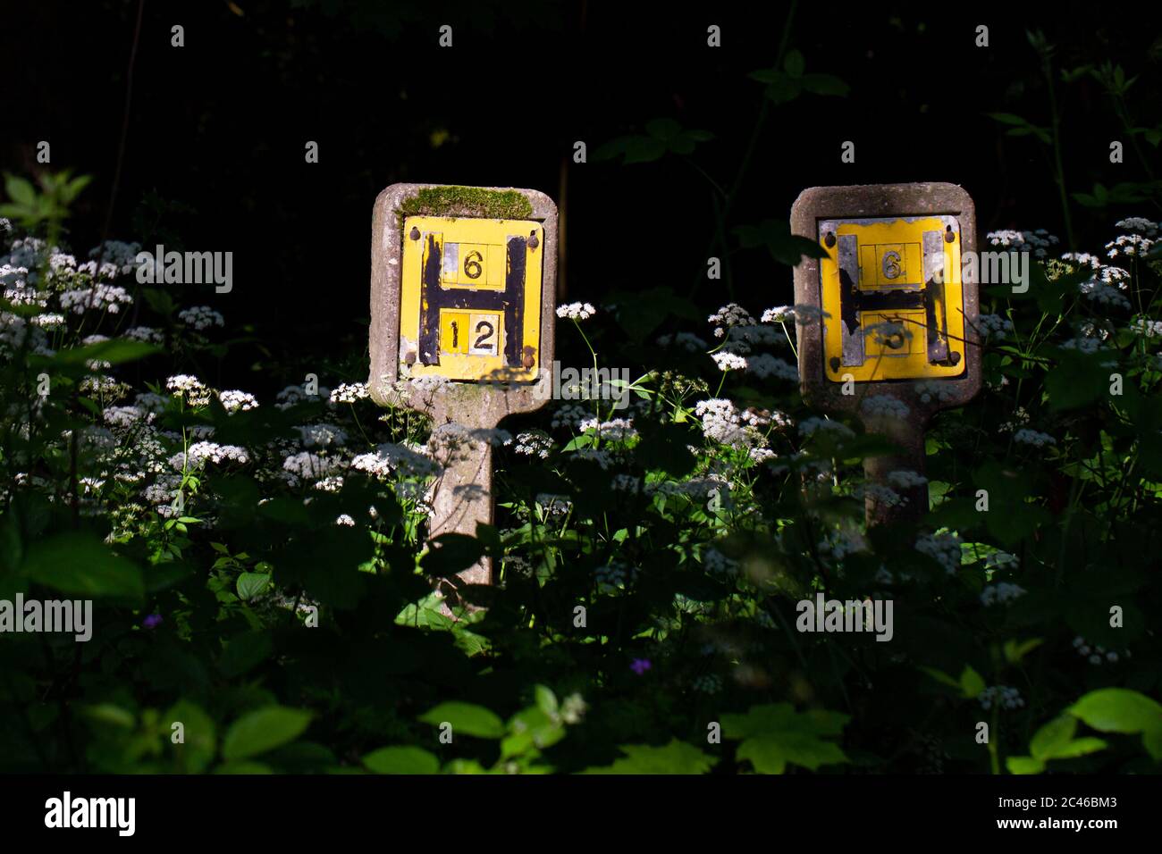 Close up of two yellow UK fire hydrant H signs showing nearest water supply for fire service, West Yorkshire Stock Photo