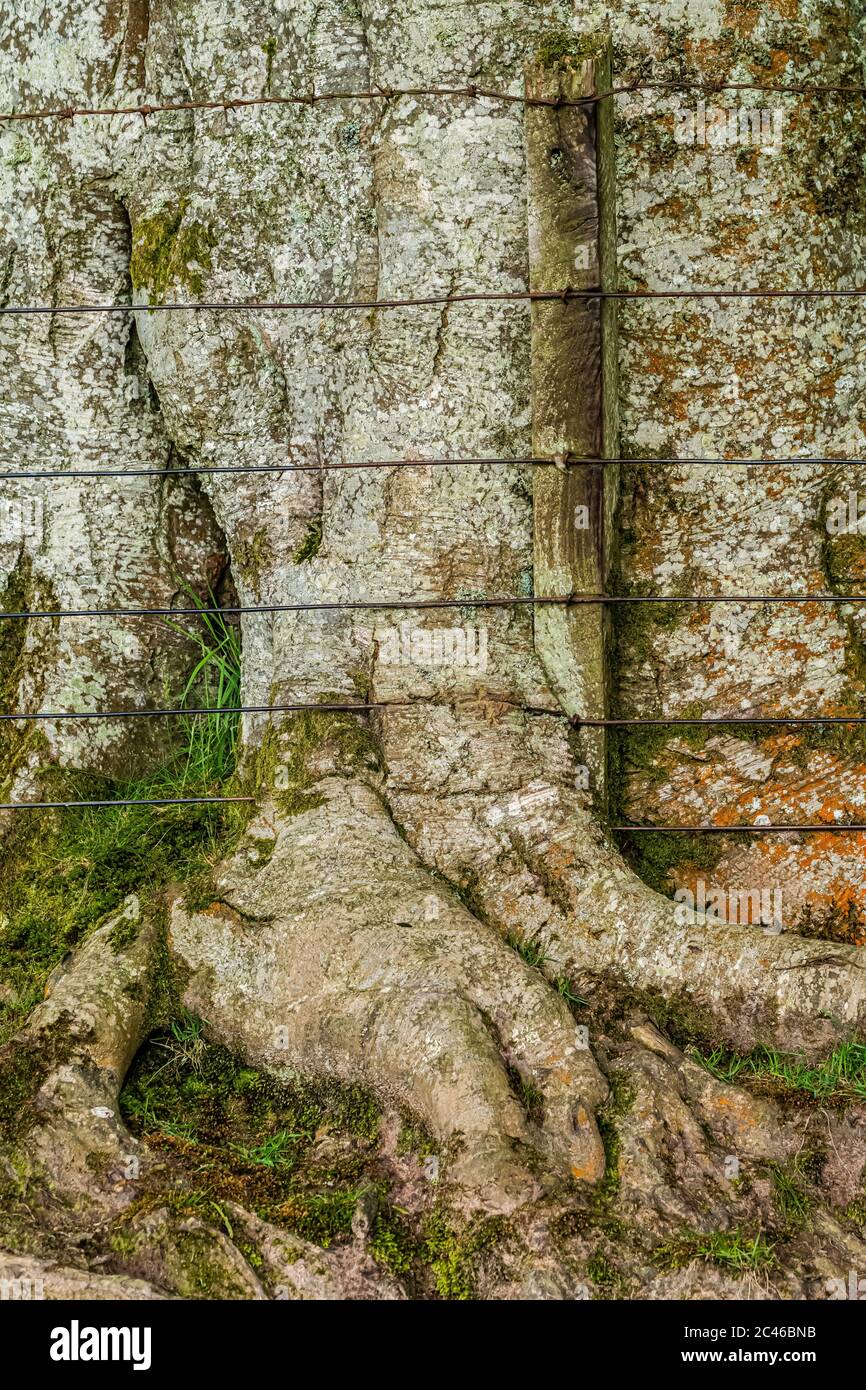 Growth Boundary High Resolution Stock Photography and Images Alamy