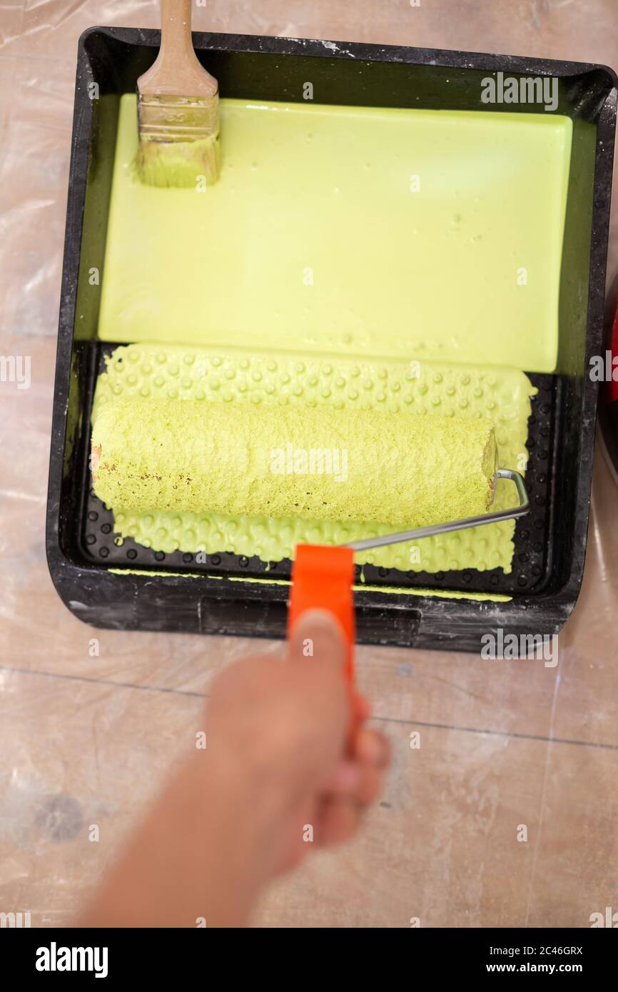 Painter with rollers in the tray with green paint Stock Photo