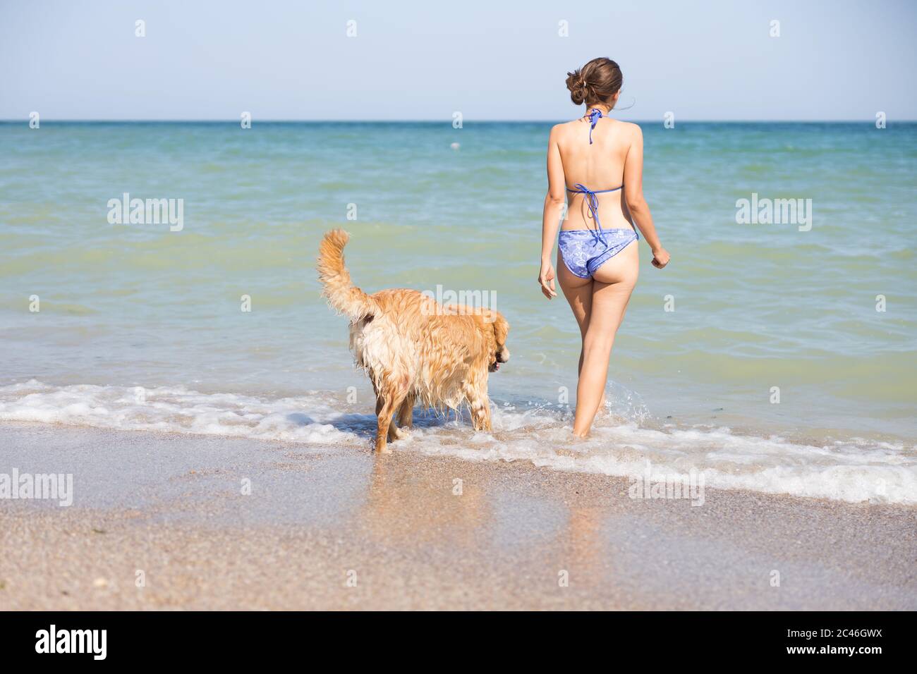 The young woman in swimsuit and her dog enter the sea Stock Photo
