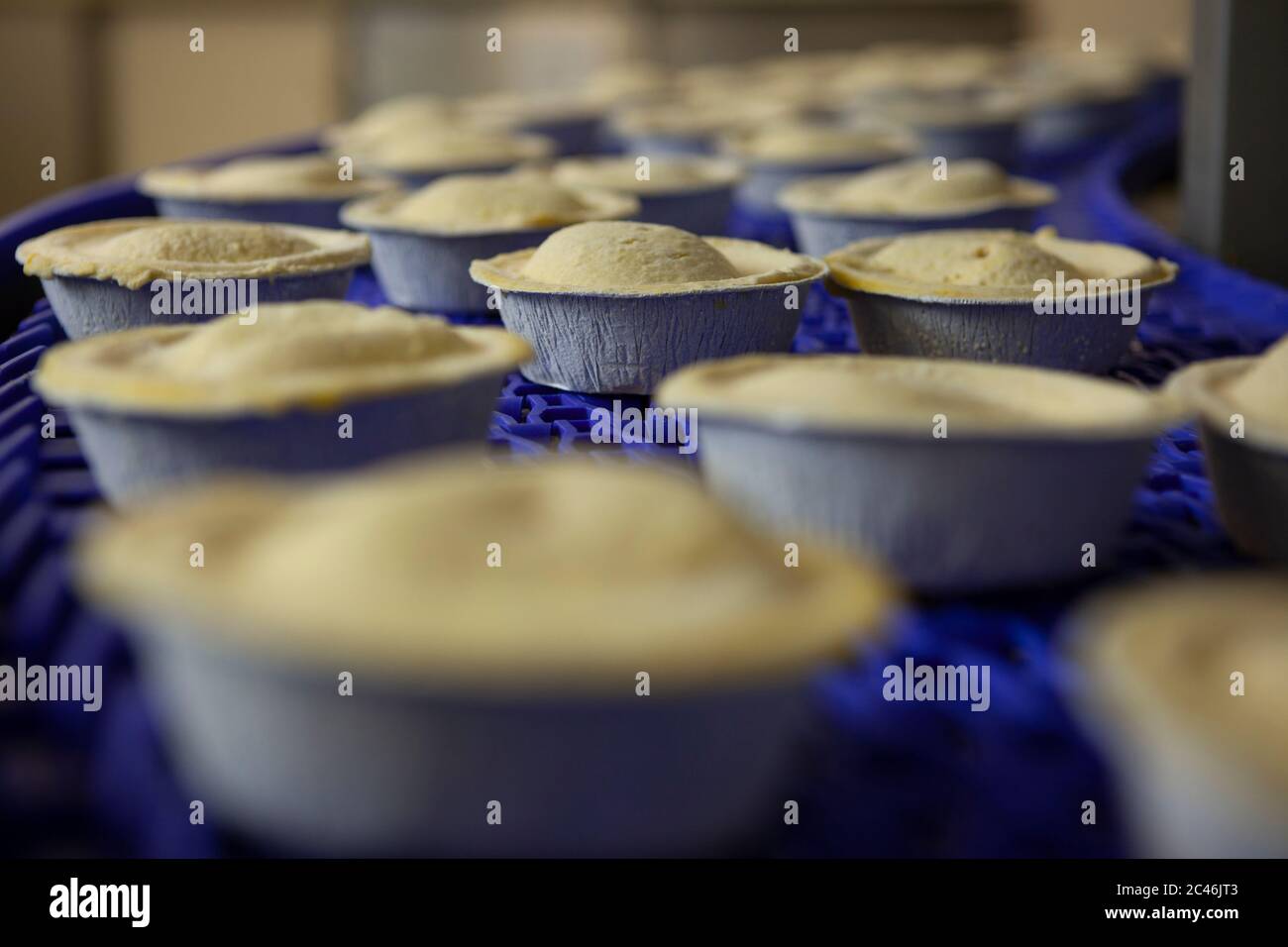 Meat pies being produced at a meat processing plant in the UK Stock