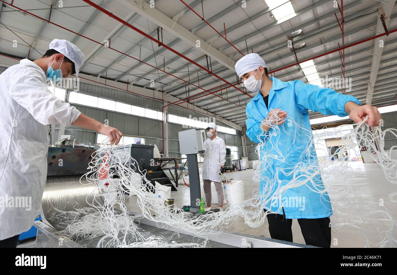 (200624) -- SONGTAO, June 24, 2020 (Xinhua) -- Relocated rural residents work at a local pharmaceutical company in Songtao Miao Autonomous County, southwest China's Guizhou Province, June 17, 2020. Since June 2019, multiple steps have been taken by local authorities in Songtao to improve the living standards of residents who had relocated from the county's poorer mountainous areas. These include offering better public services, career counselling, and more vocational training for the purpose of poverty relief. By May 2020, a total of 26,964 rural residents have resettled in five resettleme Stock Photo