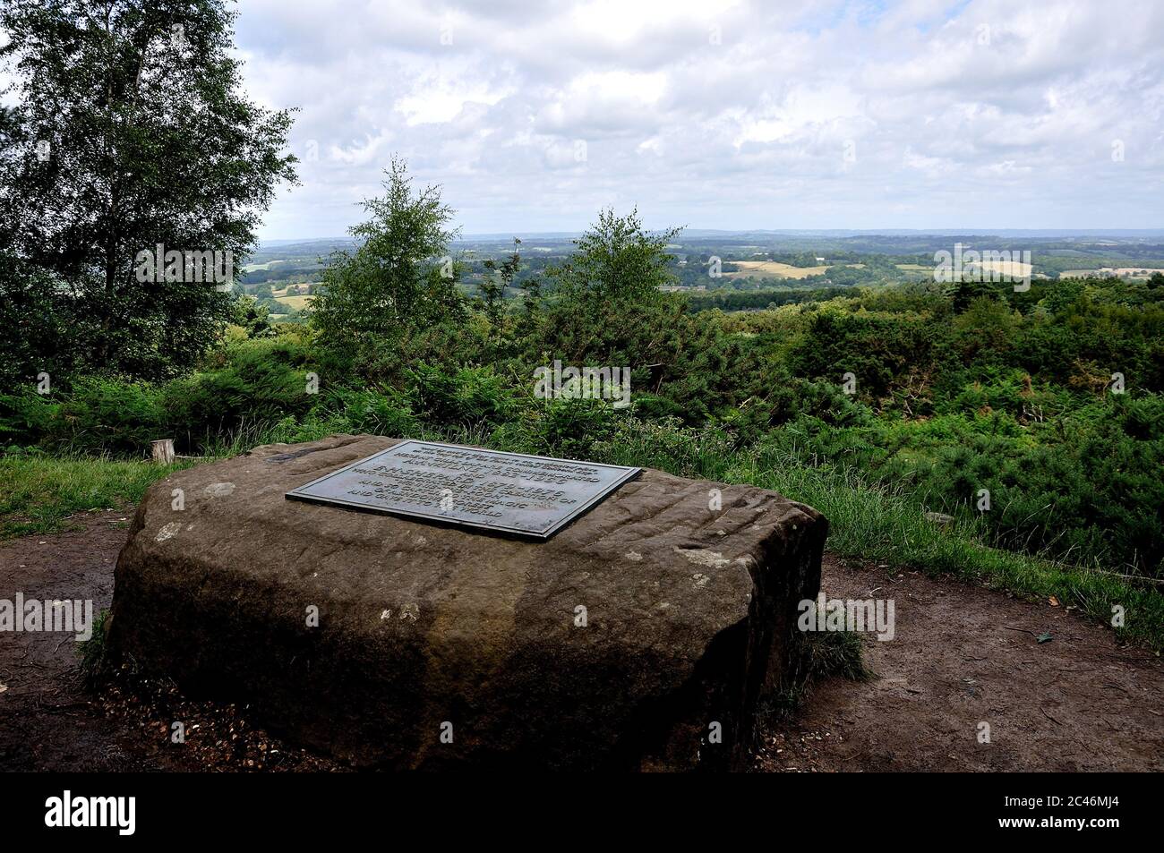 A View of Ashdown forest Stock Photo