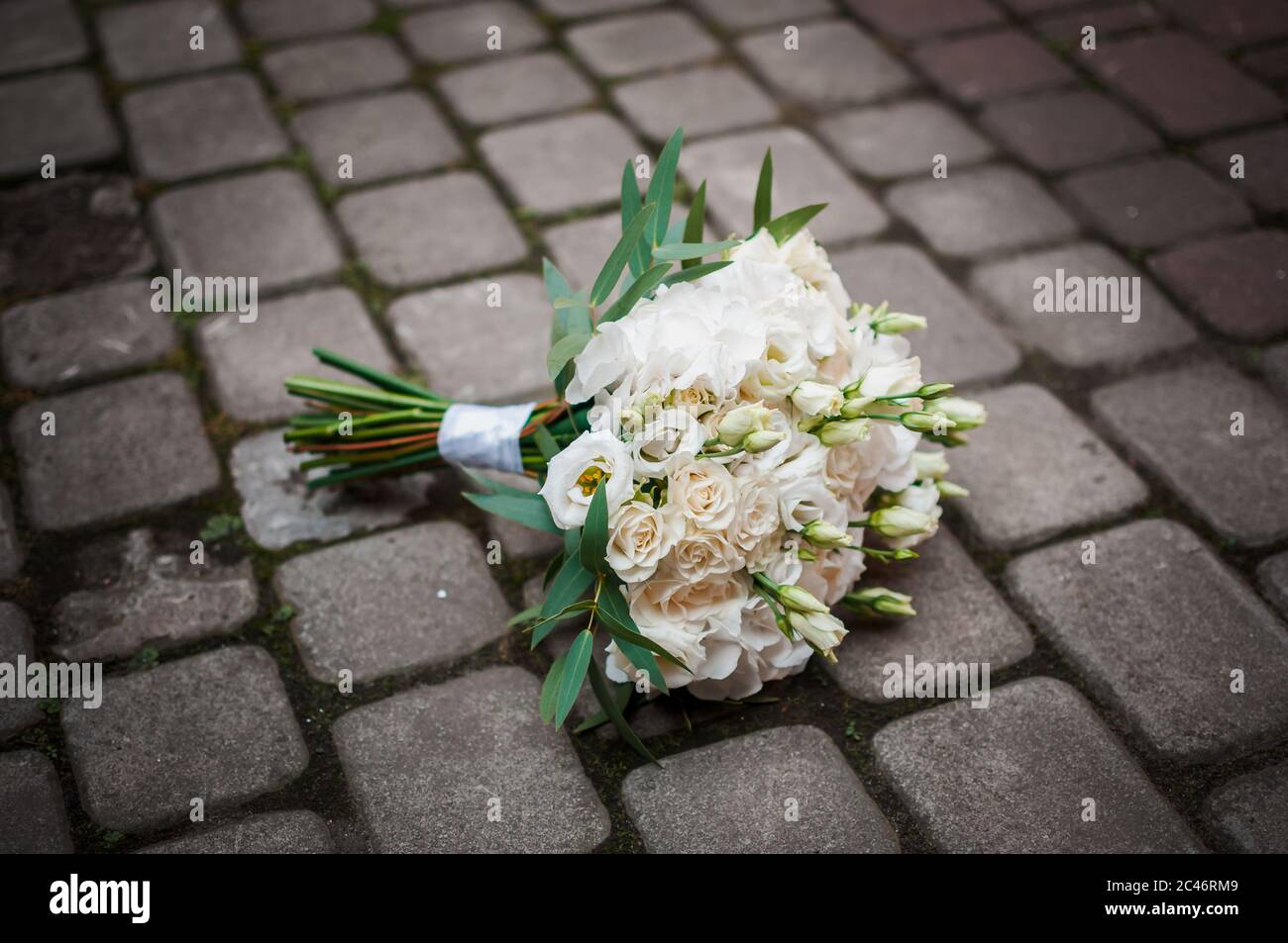 Rose petals on the pavement hi-res stock photography and images - Alamy