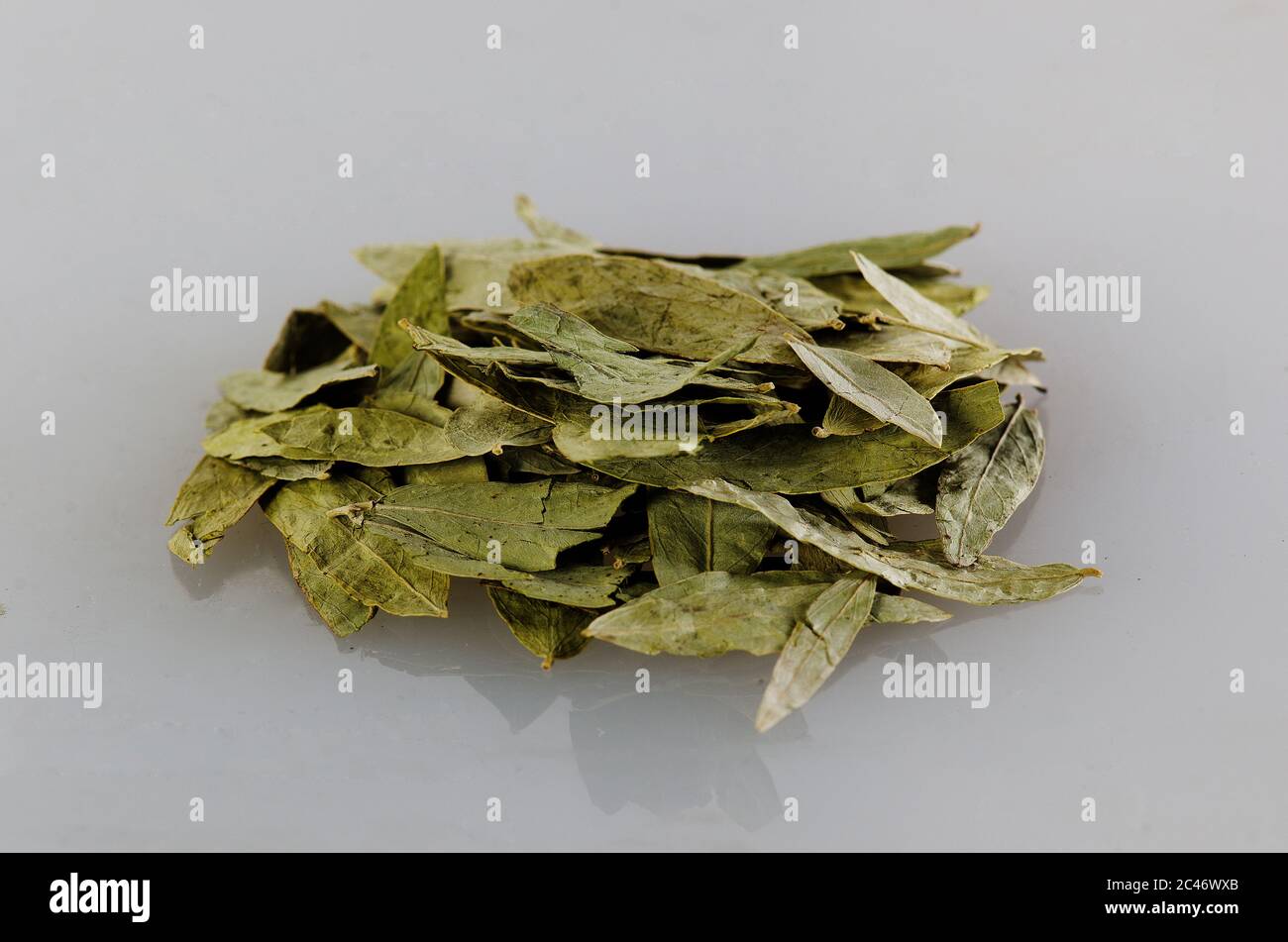 Guazuma ulmifolia leaf, botanical herbal medicine. The plant is antibacterial, antiinflammatory, antifungal, antitussive, antiviral, and other Stock Photo
