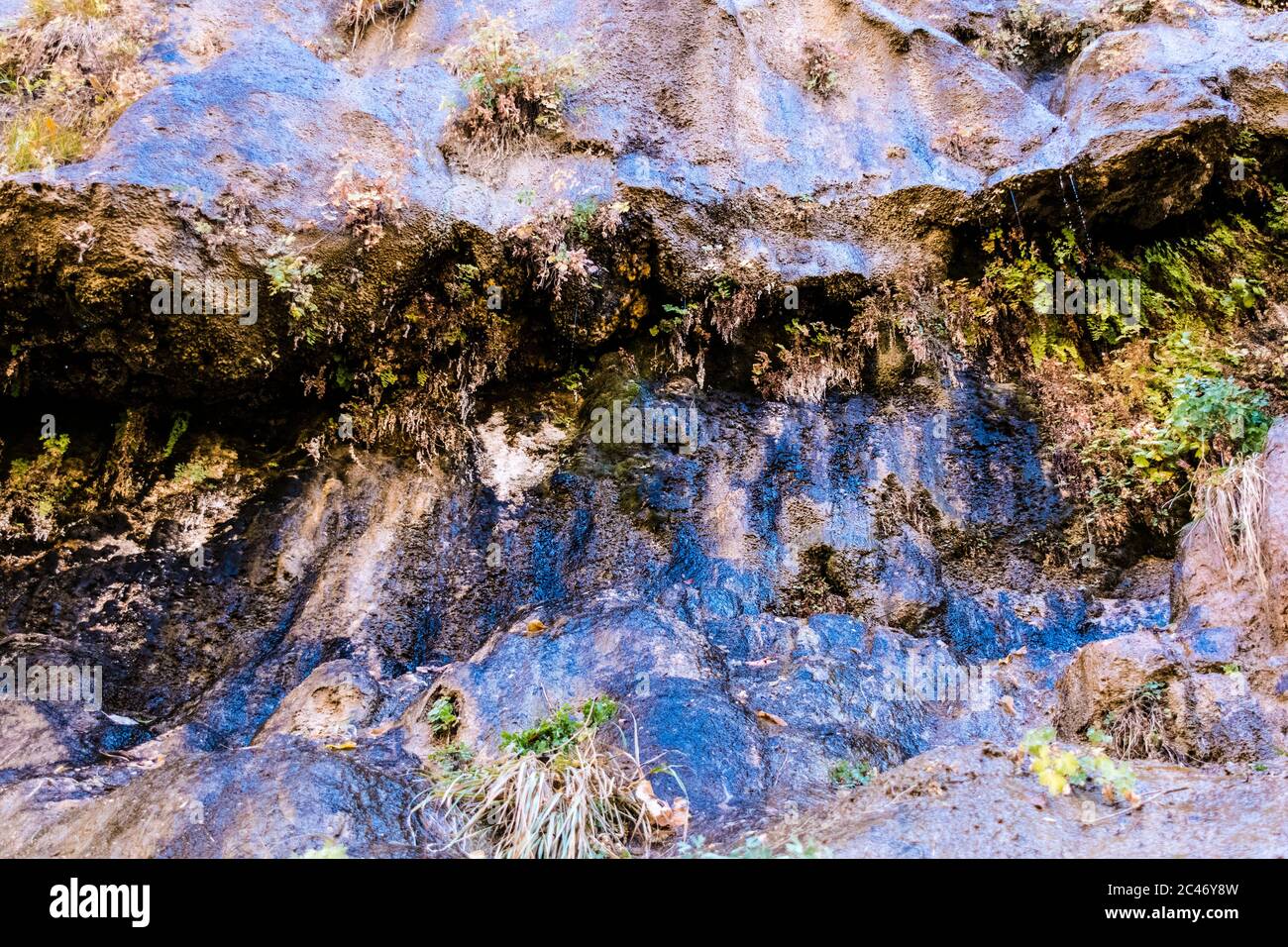 Blue color and hanging gardens on the colorful sandstone cliff walls