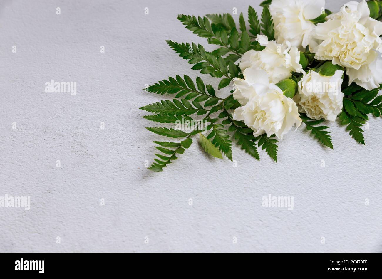 Bouquet of white carnation flowers on white background Stock Photo - Alamy